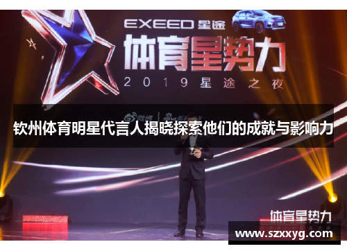 钦州体育明星代言人揭晓探索他们的成就与影响力